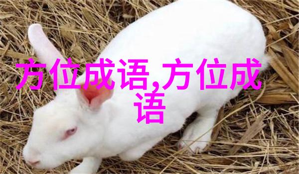 俭不中礼